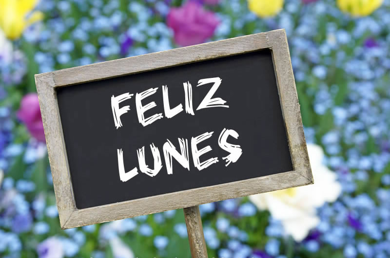 90 Frases para Desear Feliz Lunes con Imágenes