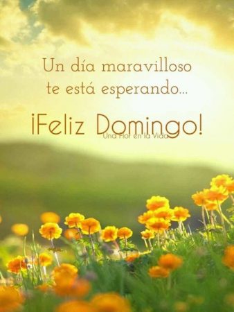 feliz domingo frases imagenes